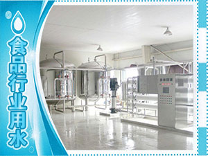 食品廠(chǎng)、水廠(chǎng)生產(chǎn)用水系列